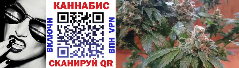 Бошки марихуана Bruce Banner где купить наркоту Балей